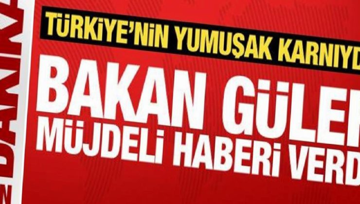 Bakan Güler müjdeli haberi verdi: Hisar ile hava savunma gereksinimimiz kalmayacak!