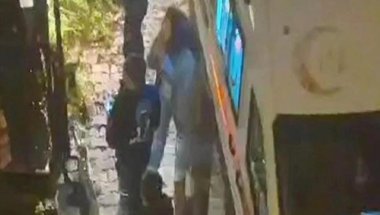 Beylikdüzü’nde pitbull 2 çocuğa saldırdı