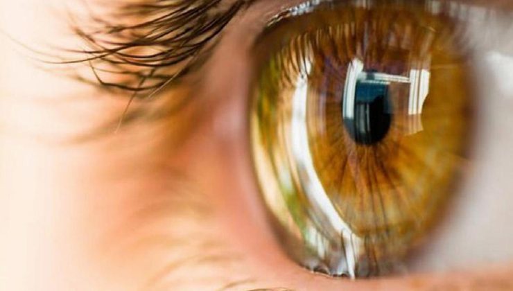 Sarı nokta hastalığı nedir, tedavisi var mı?  Beğenilen sarı nokta hastalığı neden olur?