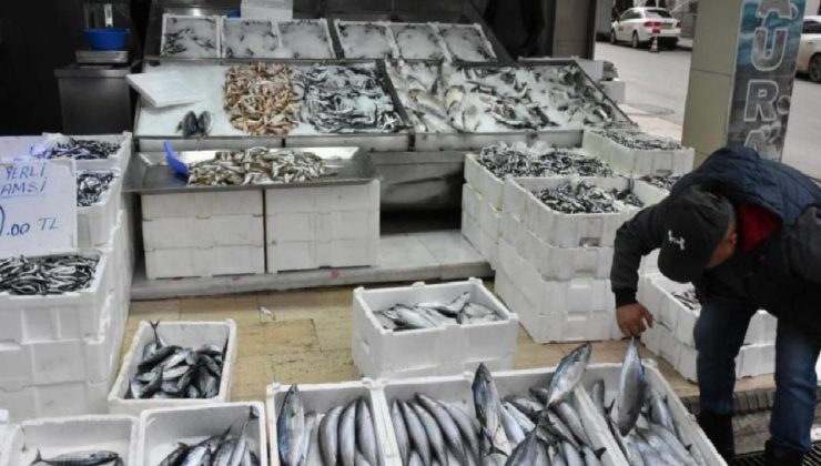 Sinop’ta palamudun tanesi 200 lira