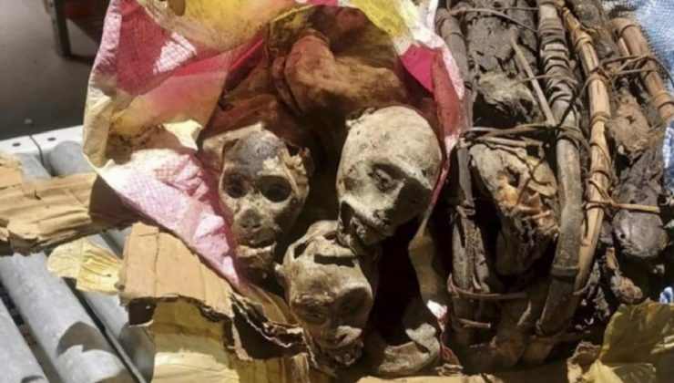 ABD’ye maymun mumyasıyla girmeye çalışan Afrikalı yolcu