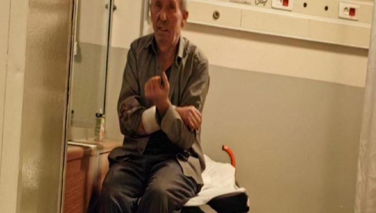 Beslediği köpeğinin saldırısına uğradı! Kolu parçalandı