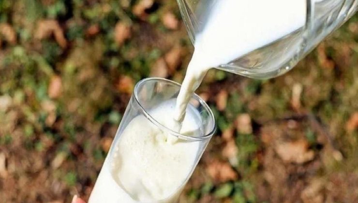 Çiğ sütte özel hijyen kuralları için ahenk müddeti uzatıldı