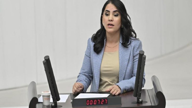 DEM Partili vekilden Meclis’te küstah sözler! “Öcalan’a özgürlük” istedi