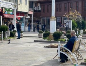 İlçede petrol heyecanı! Osmanlı’dan beri varmış’