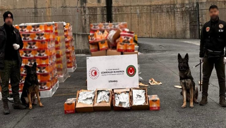 İstanbul Ambarlı Limanı’nda 36 milyon liralık uyuşturucu ele geçirildi