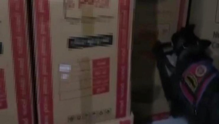 Jandarmadan nefes kesen operasyon: Tam 38 kilogram ele geçirildi