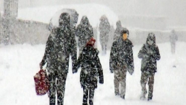 Kar bastırdı! İki vilayette okullar tatil edildi
