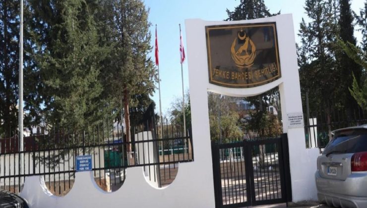 Kıbrıs’taki “Kanlı Noel” hücumlarının şahitleri, 60 yıl sonra o günleri anlattı