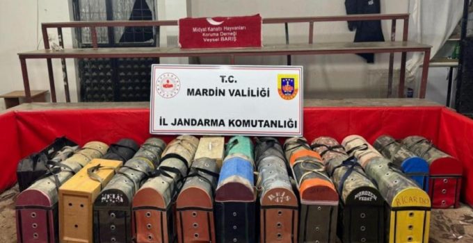 Mardin’de horoz dövüşçülerine operasyon: 578 bin 250 TL ceza