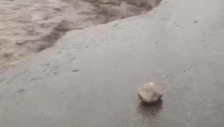 Şırnak’ta sağanak yağış nedeniyle dereler taştı, yol çöktü