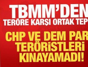 TBMM’den teröre karşı ortak tepki! CHP ve DEM Parti imza atmadı