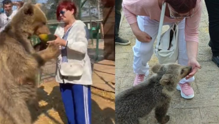 Emel Müftüoğlu: Küçükken beni fena ısırmıştı – Magazin haberler